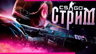 💸ТУРНИР С ПОДПИСЧИКАМИ💰 Стрим counter strike 2 / стрим кс 2 / играем в кс го 2 / общаемся🔫🔥