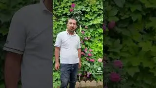 barzan kakamen