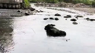 Находки под мостом в одном городе во Франции