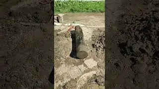 uprooting stumps in the city