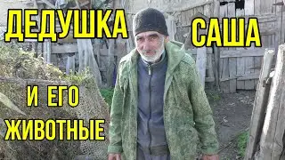 Дедушка Саша и его животные.Накормили голодную собаку.Кормим животных.накормил животных.