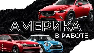 Америка в работе | Mazda cx5, mini Clubman, Vw jetta
