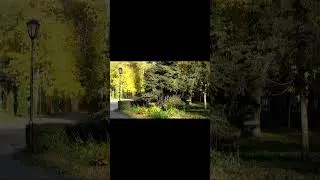 Краски осени (автор и оператор Евгений Давыдов)
