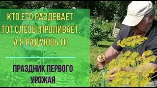 Татьяна. Кто его раздевает-тот слёзы проливает…А я радуюсь )) Как и когда приступать к уборке лука.