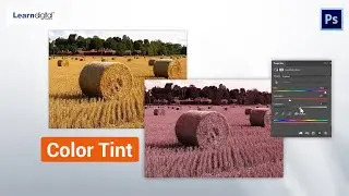 How to add Color tint Effect in Photoshop || Learn Digital Academy Tutorial in 2021