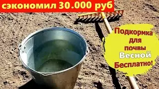 2 Ложки ВЕСНОЙ  на ведро воды и земля как новая, пролейте этим землю для шикарного урожая