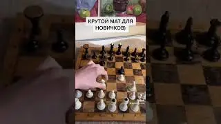 Сильный мат для чайников в шахматы 
