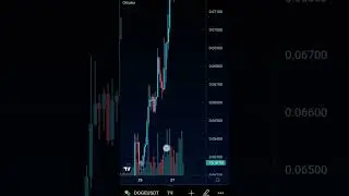 Doge +30% 