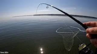 Капризный Судак на Дикую проводку! Ловля судака на спиннинг Джиг. Рыбалка на судака в августе.