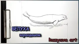 Как нарисовать кита БЕЛУХА карандашом. Поэтапно шаг за шагом