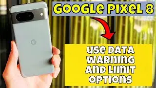Data Warning and Limit Goolge Pixel 8 || How to use data warning and limit options