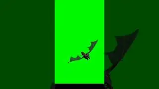 Dragon Flying Animation Green screen - chroma key
