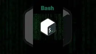 Top 5 Scripting Languages Used by Hackers 😈