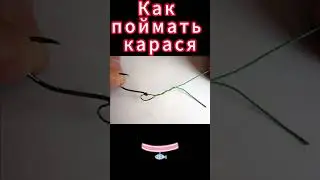Как поймать карася
