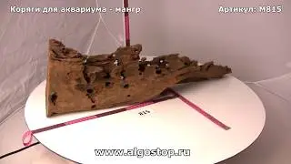 #815 Коряга натуральная "Красная"