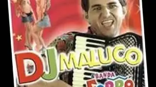 Dança das gatinhas  DJ maluco  
