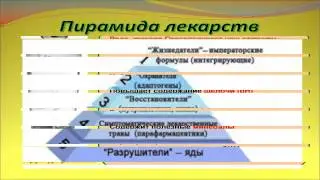 Классификация растений. Лекарственные растения и их применение