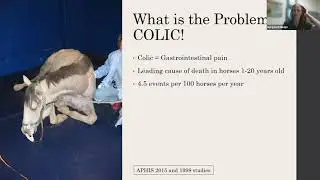 GLSBC 2021: Talk | Clinical Trials for Horses with Gastrointestinal Disorders
