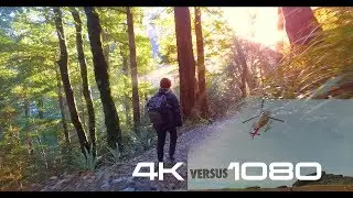 4K vs 1080 | Final Cut Pro X