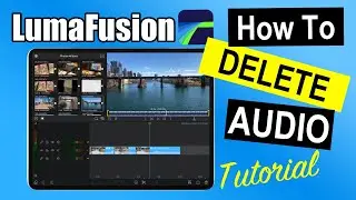 LumaFusion Tutorial - How To Delete Audio From a Video