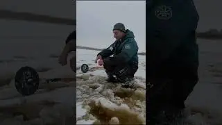 Здоровая Щука на жерлицу