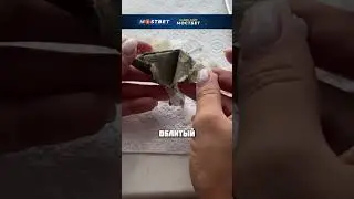 ПОРЧА В ТУАЛЕТЕ