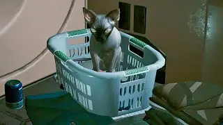 Cyberpunk 2077 - How To Get A Secret PET CAT