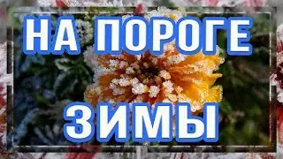 Проект Стили и Переходы На пороге зимы Proshow Producer