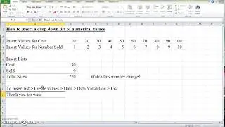 Excel Tutorial - How to Create a Drop Down List