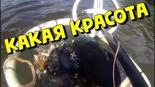 Грабли потеряли но нашёл ЗОЛОТО!