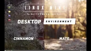 LINUX MINT REVIEW: THE MOST POPULAR DESKTOP LINUX DISTRO!