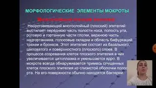 Лабораторный анализ мокроты
