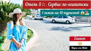 ШОК ❗ Нет мест на пляже 😱 Concorde el salam front area 5*. Что на  завтрак в Конкорд эль салам?