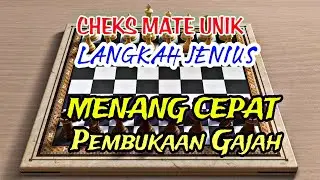 Melanjutkan Menang Cepat pada pembukaan gajah, langkah super jenius