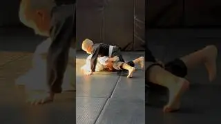 fly armbar