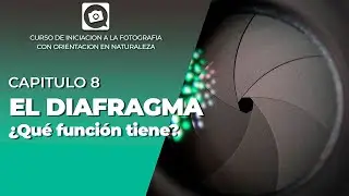 CAP 8:  El poder del DIAFRAGMA [CURSO GRATIS DE FOTOGRAFIA]