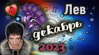 Лев Любовь Декабрь 2023