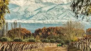 Mejora de la competitividadMendoza ́s Wine Tourism 2025.