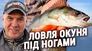 Ловлю ОКУНЯ з Берега ПІД НОГАМИ | Презентація приманки ПАВУК - Лютий 2024