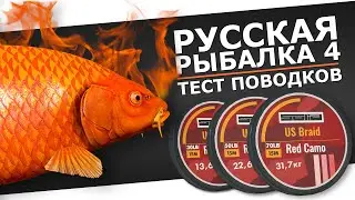 РУССКАЯ РЫБАЛКА 4 - Тест поводков на оз. Медное + Фарм на Кои и Динкенбюльских Карпах / Стрим 1