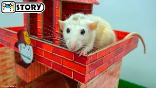 Dumbo Rat Fire Station Maze 👩‍🚒 Homura Ham Pets