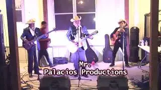 Puro Requinto