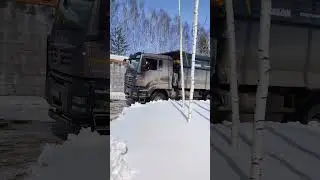Движуха у нас на ферме.