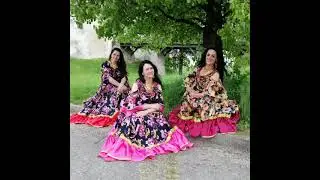 Цыганский танец - Шоу-группа DANCE HAYAT