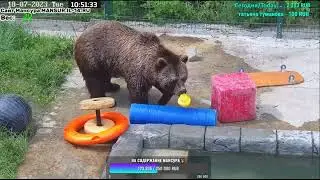 18.07.2023   