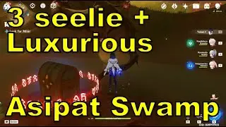 Walkthrough Luxurious Chest At Asipattravana Swamp