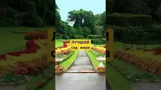 САМЫЙ КРАСИВЫЙ в САД в МИРЕ?