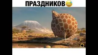 ПОСЛЕ НОВОГОДНИХ ПРАЗДНИКОВ ! 😂 ДААААА ЖИВОТНЫЕ ПОЕЛИ БОЛЬШЕ ЧЕМ Я 😂 😂 👌🏻