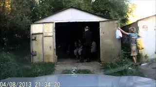 Ловкость кошки
