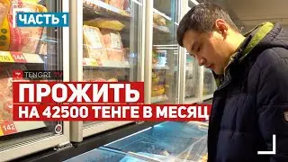 Можно ли прожить на минимальную зарплату месяц? Эксперимент